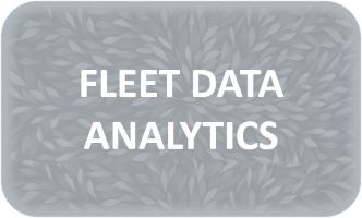 Fleet data button