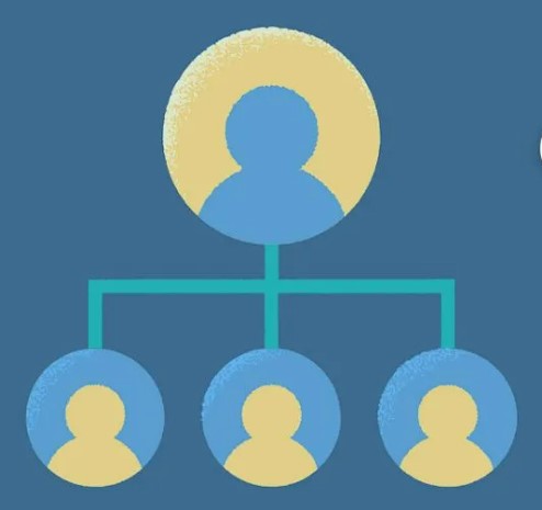 Organisational Design