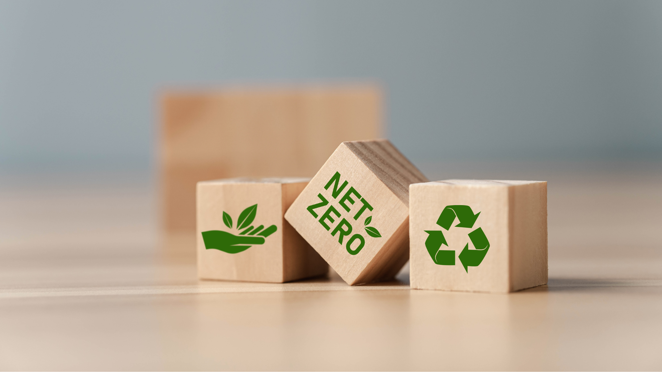Net Zero blocks image